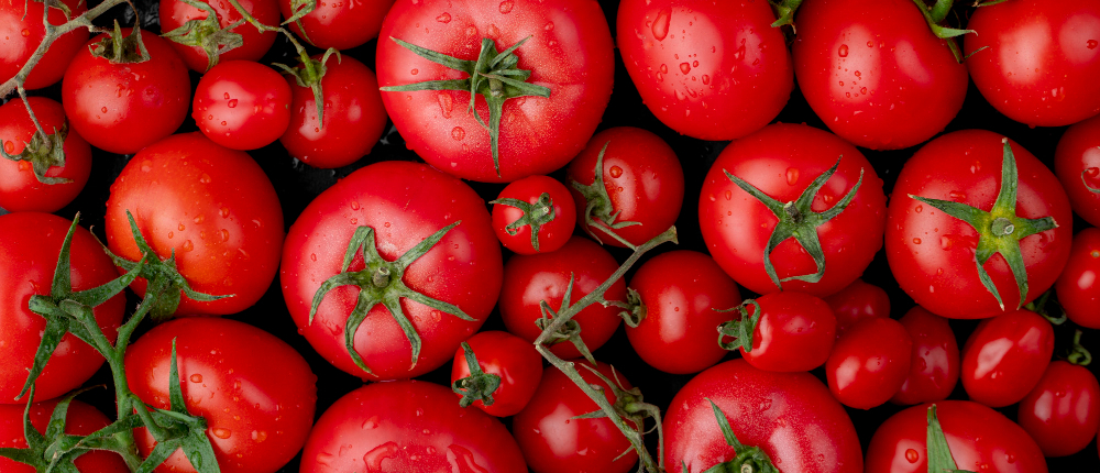 permits importing food into Panama